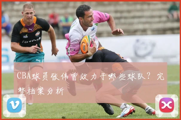 CBA球员张伟曾效力于哪些球队？完整档案分析