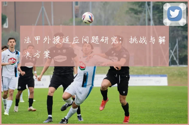 法甲外援适应问题研究：挑战与解决方案