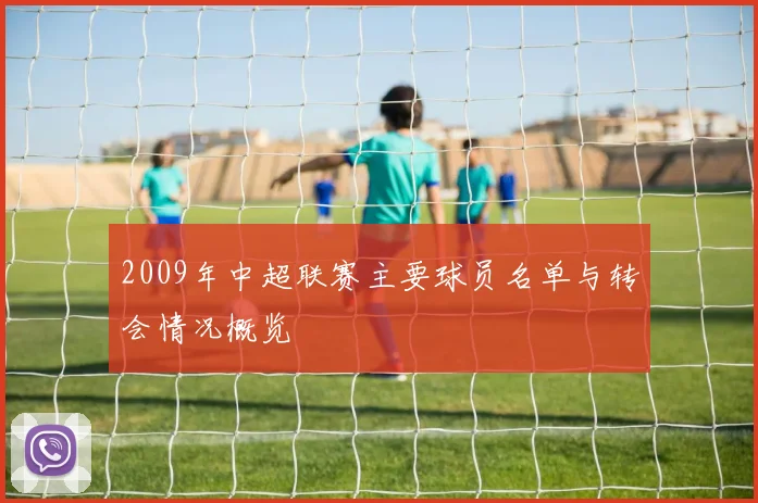 2009年中超联赛主要球员名单与转会情况概览