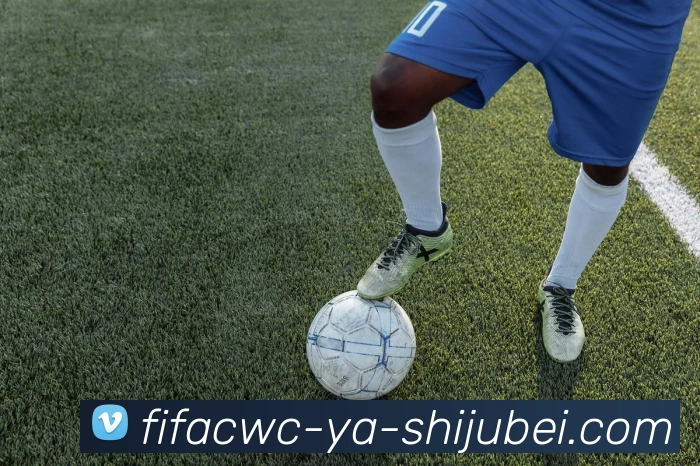 世界杯直播服务体系